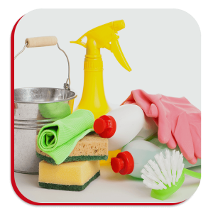 House Cleaning Guides