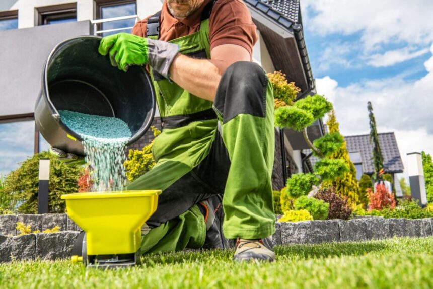 A Guide to Maintaining a Healthy Lawn